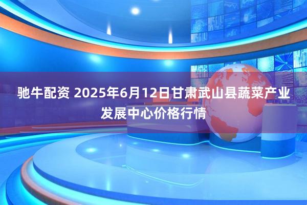 驰牛配资 2025年6月12日甘肃武山县蔬菜产业发展中心价格行情