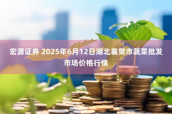 宏源证券 2025年6月12日湖北襄樊市蔬菜批发市场价格行情