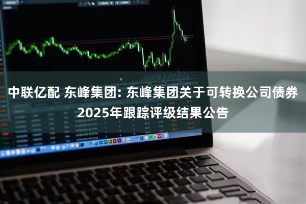 中联亿配 东峰集团: 东峰集团关于可转换公司债券2025年跟踪评级结果公告