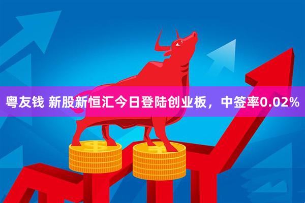 粤友钱 新股新恒汇今日登陆创业板，中签率0.02%