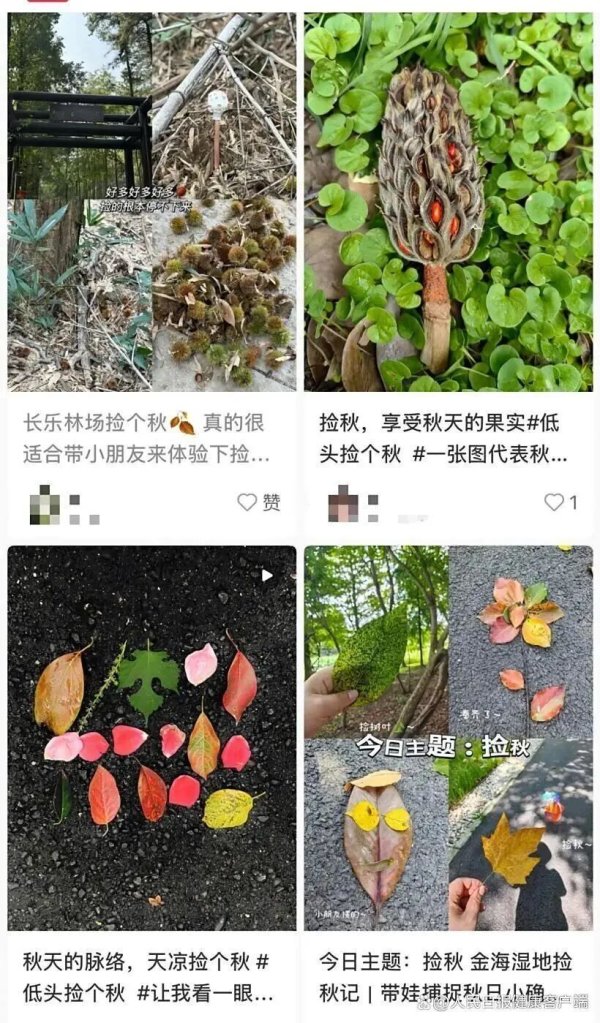 真牛所配资 有毒！路边这种小果子，别捡、别吃，近期大量出现