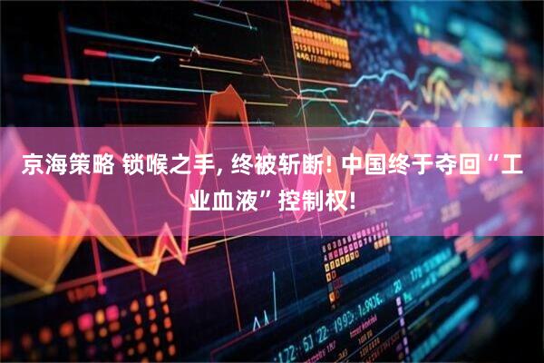 京海策略 锁喉之手, 终被斩断! 中国终于夺回“工业血液”控制权!